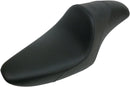 harley davidson sportster 883 iron xl [ZADELMEN] – Americano 2-Up Cafébank-1