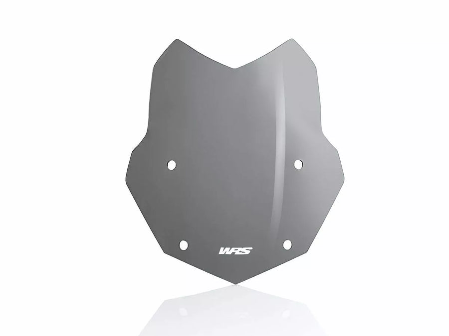BMW R 1200 R [WRS] – Windschild