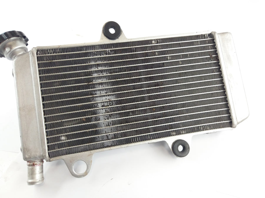 Yamaha XT 660 X DM01 [2006] - Koel waterkoeler
