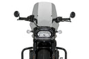 HARLEY DAVIDSON SPORTSTER S RH 1250 S [2024] – New Generation Touring – Getönt-1