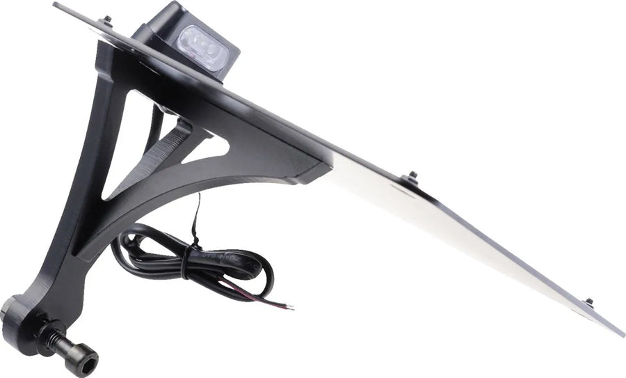 Harley-Davidson Sportster S [CULT WERK] – license plate lighting