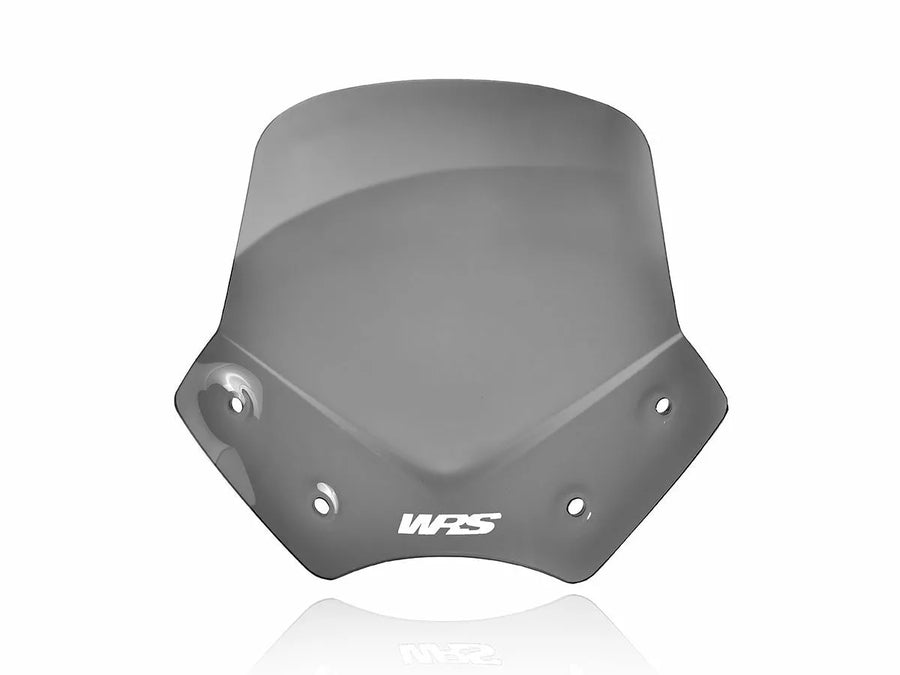 BMW R 1200 R [WRS] - voorruit