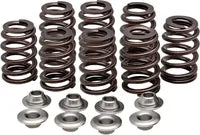 Harley-Davidson FLRT 1868 Freewheeler 114 [2021, 2023-2024] - Titanium klepveerhouderset - foto 10