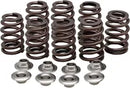 Harley-Davidson FLRT 1868 Freewheeler 114 [2021-2024] - Titanium klepveerhouderset - foto 12