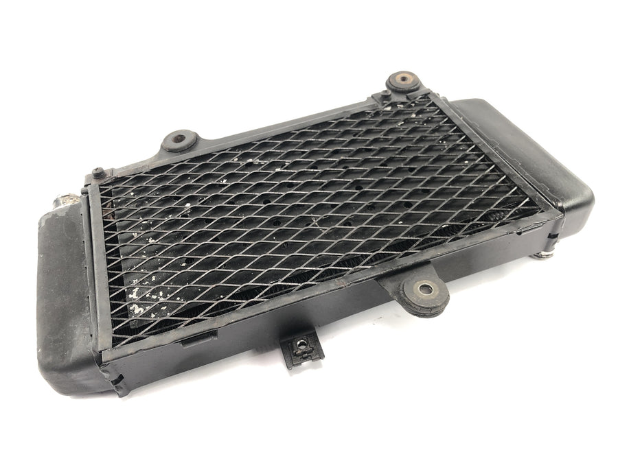 Yamaha XTZ 660 3YF [1992] - Radiator water cooler