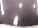 Kawasaki GPZ 1100 ZXT10E [1997] - Descent disc visor-2
