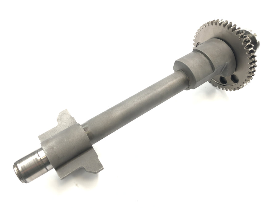 Triumph Speed ​​Triple T509 [1998] - Balance shaft