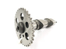 BMW F 650 GS R13 [2002] - camshaft outlet camshaft-1