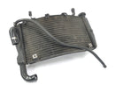 Ducati 999 H4 [2003] - Kühler Wasserkühler Radiator-6