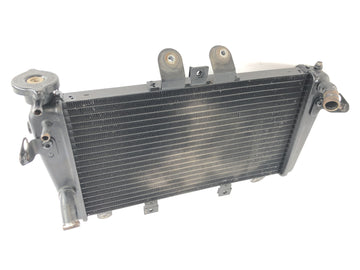 Triumph Speed Triple 1050 515NJ [2007] - Radiator Motorradiator Warmtewisselaar - 0