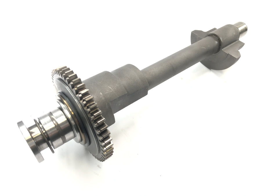 Triumph Speed ​​Triple T509 [1998] - Balance shaft