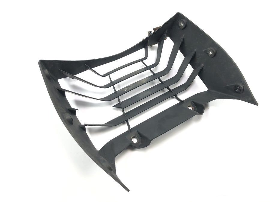 KTM RC 125 [2016] - Radiator cover radiator grille radiator panel