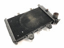Triumph Daytona 900 T300 [1996] - Radiatorwaterkoeler-3