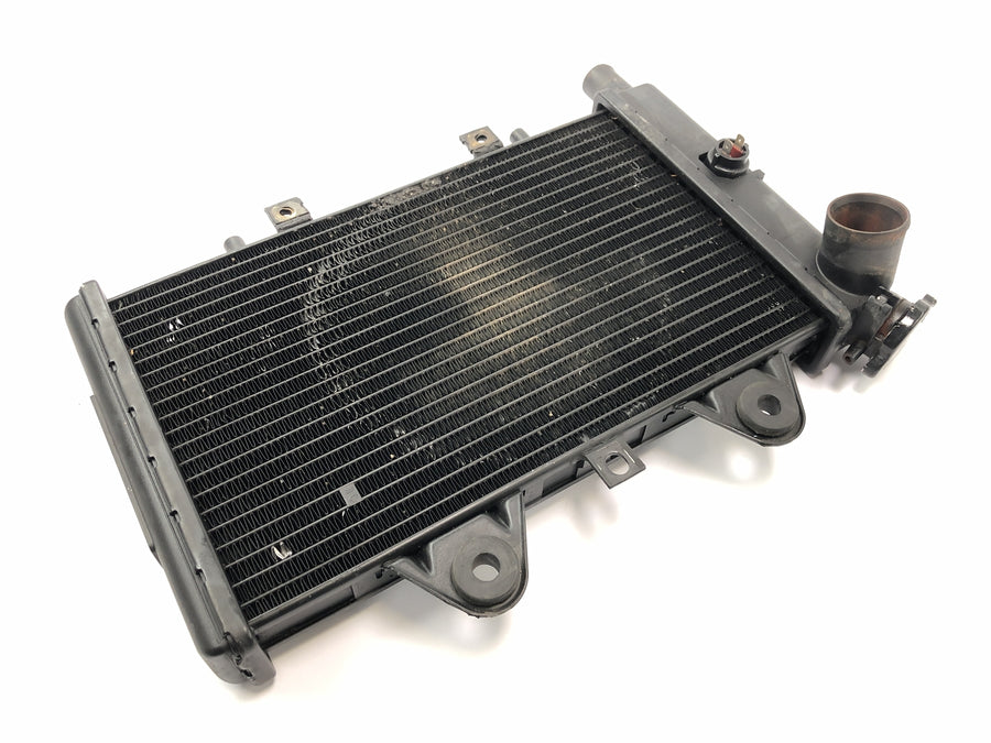 Triumph Daytona 900 T300 [1996] - Radiatorwaterkoeler
