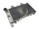 Triumph Daytona 900 T300 [1996] - Radiatorwaterkoeler-4