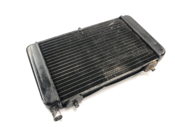 Aprilia RS 125 Extrema [1994] - Radiator water cooler radiator cooling system - 0