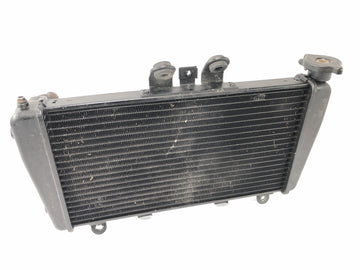 Triumph Speed Triple 1050 515NJ [2007] - Radiator Motorradiator Warmtewisselaar