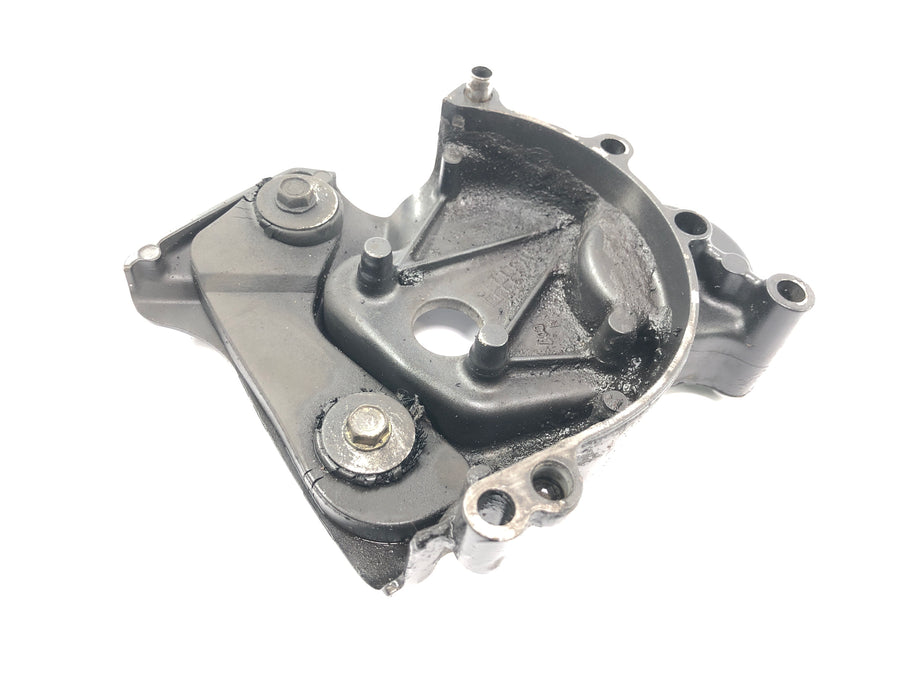 Honda VFR 800 FI RC46 [1999] - Sprocket cover engine cover