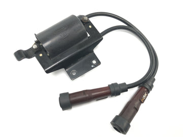 Triumph Bonneville T100 986MF [2012] - Ignition coil ignition module ignition unit with cable and spark plug connector - 0