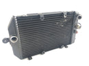 Kawasaki VN 1600 Gemiddelde streak vnt60b [2005] - Waterkoeler-3