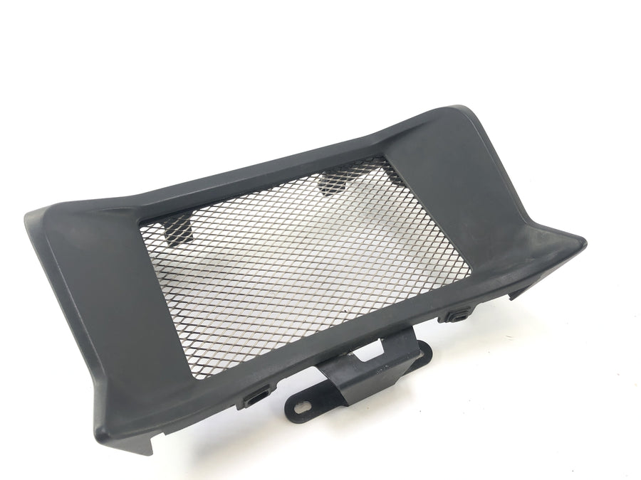 BMW R 1200 R [2007] - Cover Cooler Cooling Grille