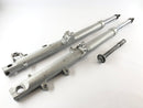 BMW R 1100 GS [1990] - Gabel Telelever met Axis-9