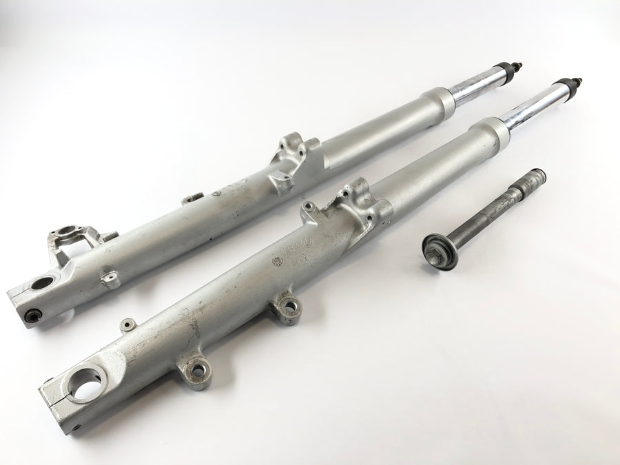 BMW R 1100 GS [1990] - Gabel Telelever met Axis