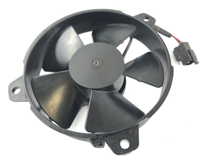 Yamaha XT 660 DM01 [2004] - Fan Fan Fan Fan Fan Fan