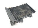 Triumph Daytona 900 T300D [1996] - Radiator water cooler cooling system-2