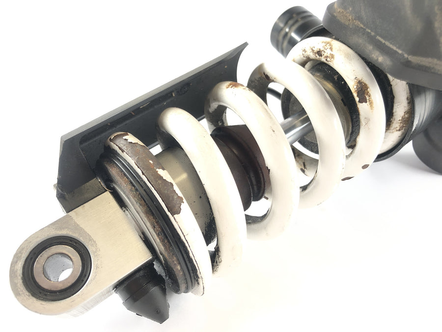 BMW K 1300 S K12S [2010] - Springschokdemper achter