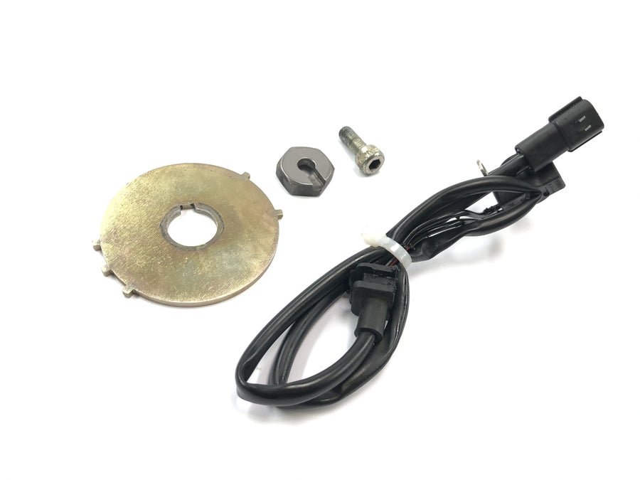 Triumph Daytona 1200 T300D [1994] - Zündimpulsgeber Pickup Sensor Zündgeber