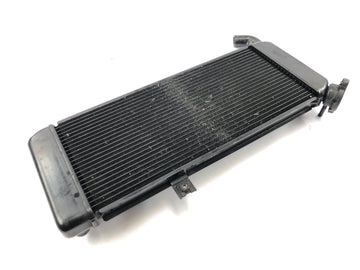Kawasaki Versys KLE 650 A [2006] - Kühler Wasserkühler Kühlsystem Radiator - 0