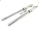 Honda NX 650 RD08 [1995] - Vork Telegabel voorste schokdemper Suspensie Spring Bone-1