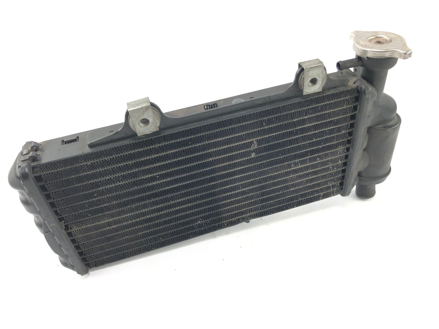 BMW F 650 GS R13 [2002] - cool water cooler motor cooler at the front