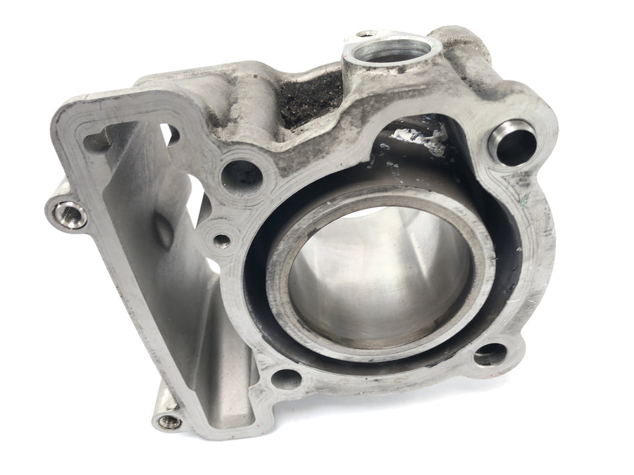 SWM SM 125 R [2018] - cylinder