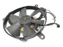 Honda CBR 900 RR SC28 [1994] - cooler fan fan fan fan-2