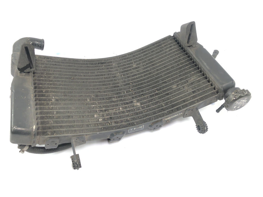 Ducati 999 H4 [2003] - Kühler Wasserkühler Radiator