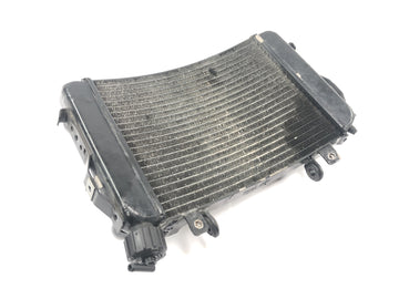 KTM Duke 690 A3 [2012] - Kühler Wasserkühler Kühlsystem Radiator vorne - 0
