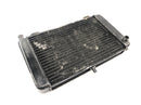 Aprilia RS 125 Extrema [1994] - Radiator water cooler radiator cooling system-3