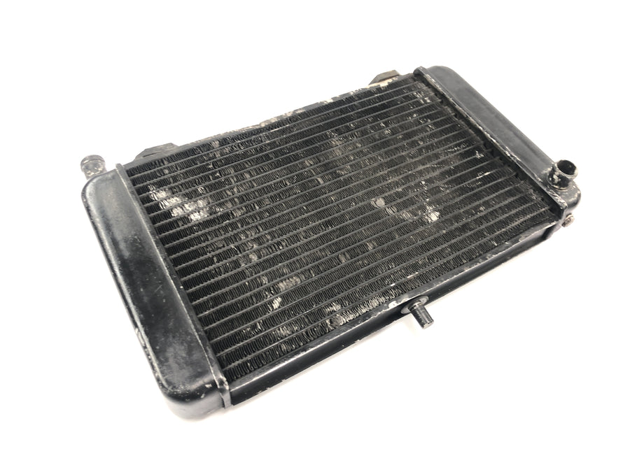 Aprilia RS 125 Extrema [1994] - Radiator water cooler radiator cooling system