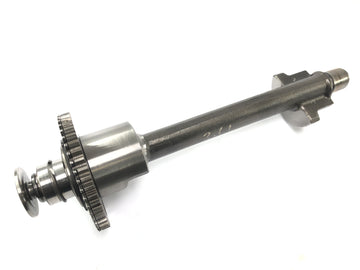 Triumph Sprint ST 1050 [2005] - Ausgleichswelle Balance Shaft - 0