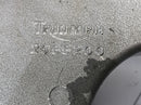Triumph Speed Triple T509 [1998] - Schwinge Hinterradschwinge-3