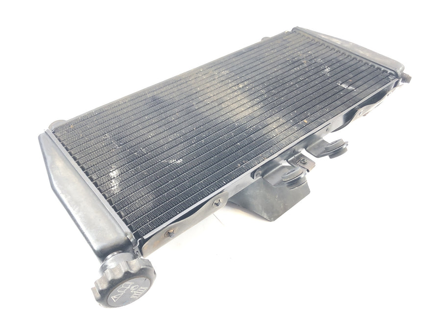 Triumph Daytona 955i T595N [2003] - cool water cooler radiator at the front