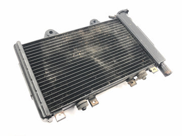 Triumph Daytona 900 T300D [1996] - Radiator-waterkoeler-koelsysteem