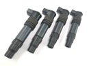 Suzuki GSF 1250 SA Bandit WVCH [2007] - Ignition coil stick coil ignition coil set-1