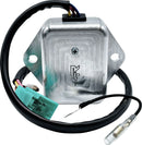 Kawasaki Z 900 [Rick's Motorsport Electric] - Regulator-1