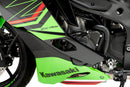 KAWASAKI ZX-4RR NINJA [2025] – Motorbeveiligingsbaan voor kampioenschap-1
