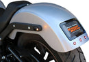 harley davidson fxlrst [PAUL YAFFE BAGGER NATION] – The Fix rear fender-2