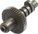 Harley-Davidson FLHS 1200 Electra Glide Sport [1979] - H-Grind Nockenwelle – Bild 8