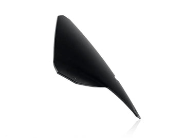 Aprilia Tuono 660 [WRS] – Windschild - 0